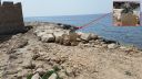20180414_121243.jpg