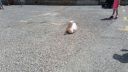 20180414_122140.jpg