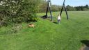 20180503_095406.jpg