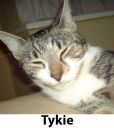 Tykie.jpg