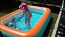 20180627_122522.jpg
