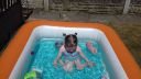 20180627_151356.jpg