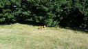 20180708_084238.jpg