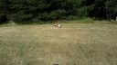 20180708_084448.jpg