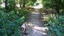 20180708_084826.jpg