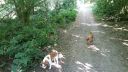 20180708_084924.jpg