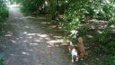 20180708_084939.jpg