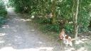 20180708_085007.jpg