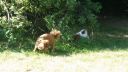 20180708_085116.jpg