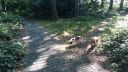 20180708_085527.jpg