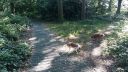 20180708_085531.jpg