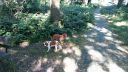 20180708_085802.jpg