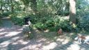 20180708_085811.jpg
