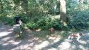 20180708_085813.jpg