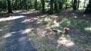 20180708_090032.jpg