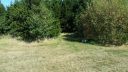 20180708_094206.jpg
