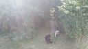 20180708_094420.jpg