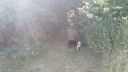 20180708_094426.jpg