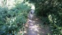 20180708_094455.jpg