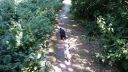 20180708_094459.jpg