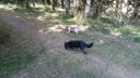 20180708_094530.jpg