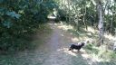 20180708_094535.jpg