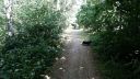 20180708_094643.jpg