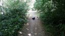 20180708_094645.jpg