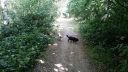 20180708_094648.jpg