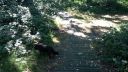 20180708_095047.jpg