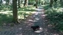 20180708_095245.jpg