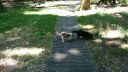 20180708_095456.jpg