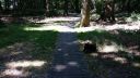 20180708_095505.jpg