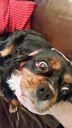 Filename=20181105_090000.jpg
Filesize=211KiB
Dimensions=394x700
Date added=Jan 12, 2019 20181105_090000.jpg