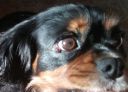 Filename=20181115_093415.jpg
Filesize=378KiB
Dimensions=964x700
Date added=Jan 12, 2019 20181115_093415.jpg