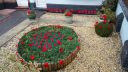 Filename=20181106_115047.jpg
Filesize=209KiB
Dimensions=1047x589
Date added=Jan 12, 2019 20181106_115047.jpg