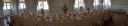 20190520_100937_Pano.jpg