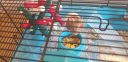 20190728_102822.jpg