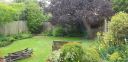 20200709_143930.jpg