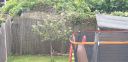 20200716_122944.jpg