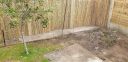 20200728_160619.jpg