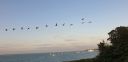 Filename=20210826_192935.jpg
Filesize=47KiB
Dimensions=1047x508
Date added=Aug 30, 2021 20210826_192935.jpg