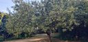 Filename=20220806_180222.jpg
Filesize=4030KiB
Dimensions=4032x1960
Date added=Jan 10, 2023 20220806_180222.jpg