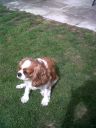 IMG00049-20110608-1033.jpg
