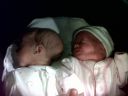 IMG00049-20120810-1539.jpg