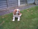 IMG00062-20110608-1037.jpg