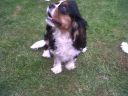 IMG00066-20110608-1038.jpg