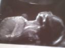IMG00116-20120417-1135.jpg