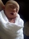 IMG-20120601-00167.jpg