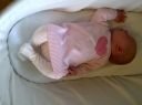 IMG-20120621-00339.jpg